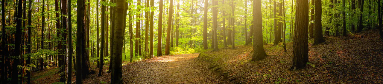 National Trust gift card program grows through Diggecard retail and B2B channels